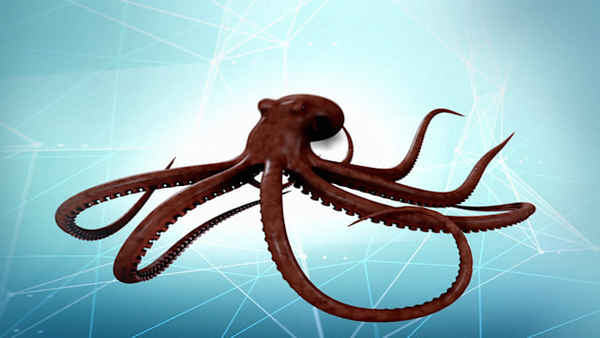 Ultimate Animals Poster 4