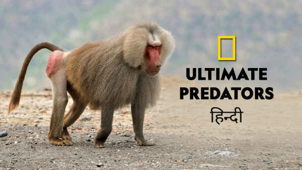 Ultimate Predators Poster 3