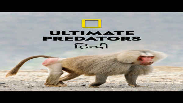 Ultimate Predators Poster 6