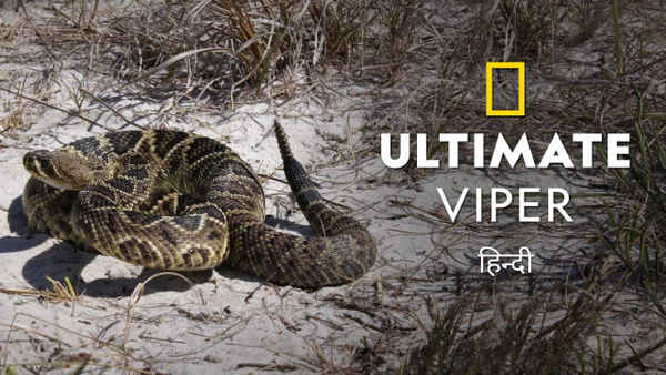 Ultimate Viper: Fear The Fang Poster 7