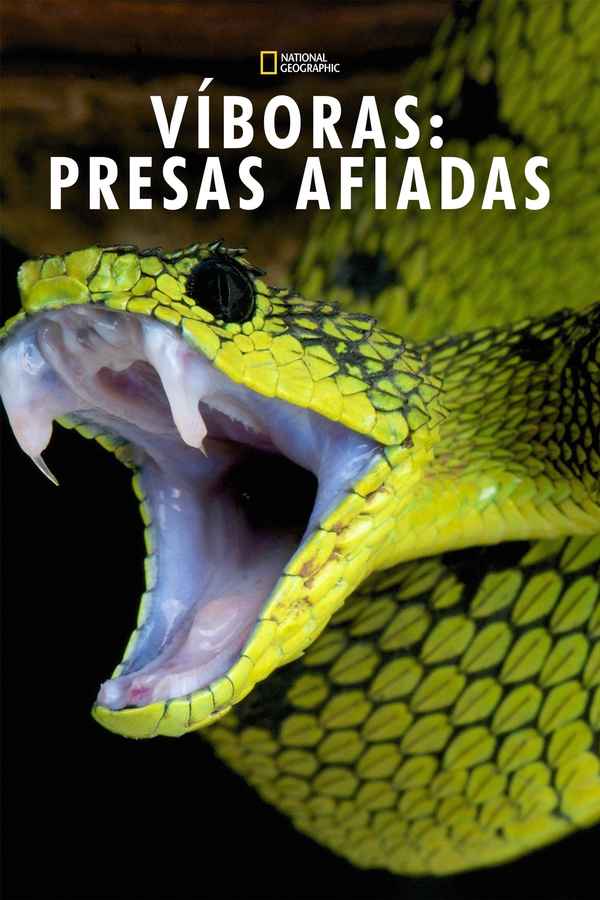 Ultimate Viper: Fear The Fang Poster 2