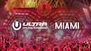 Ultra Music Festival Miami 2017 Poster 3