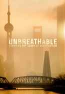 Unbreathable: Cities on the Verge of Asphyxiation Poster 6