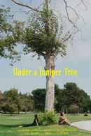 Under a Juniper Tree Poster 2