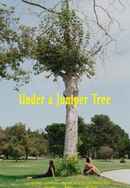Under a Juniper Tree Poster 3