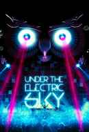 Under the Electric Sky Poster 4
