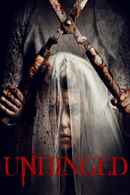 Unhinged Poster 5