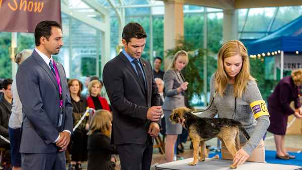 Unleashing Mr. Darcy Poster 4