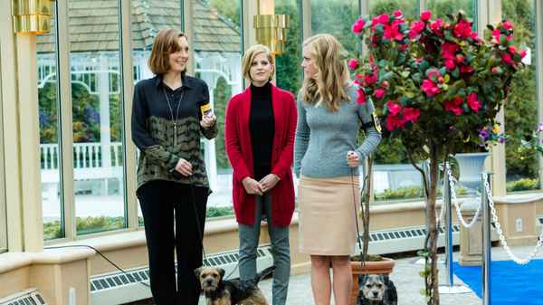 Unleashing Mr. Darcy Poster 5