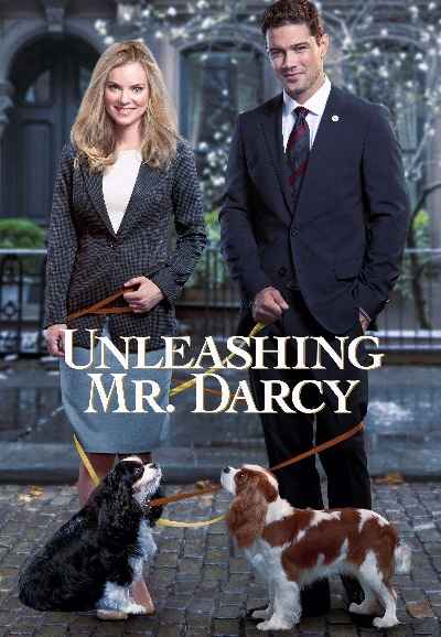 Unleashing Mr. Darcy