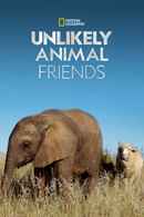 Unlikely Animal Friends Poster 5