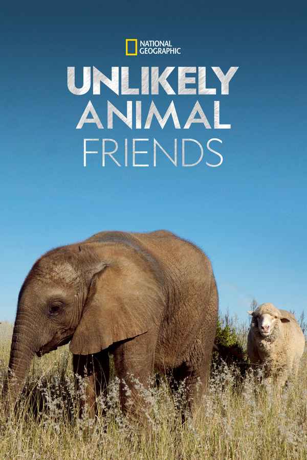 Unlikely Animal Friends Poster 5