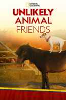 Unlikely Animal Friends Poster 4