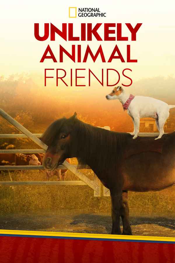 Unlikely Animal Friends Poster 4