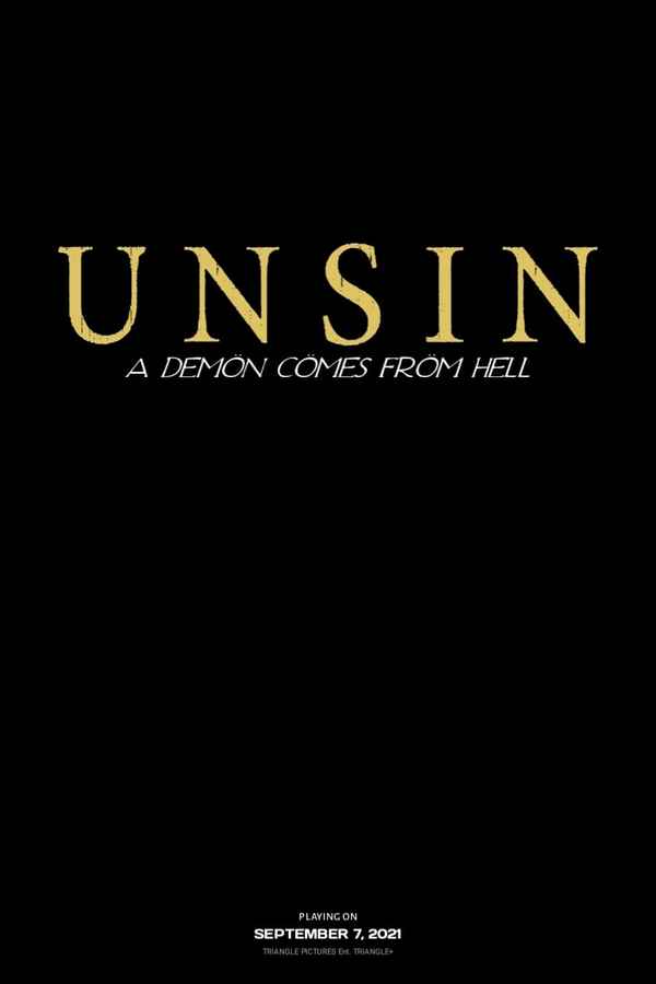 UNSIN Poster 2