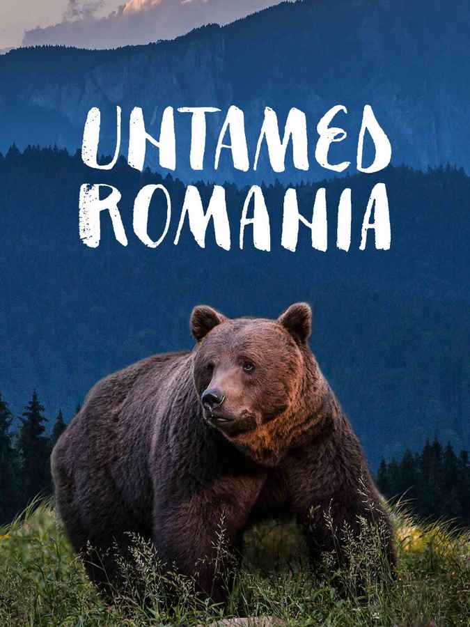 Untamed Romania