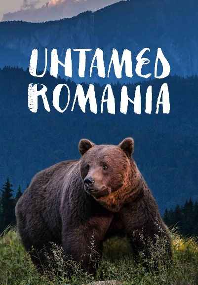 Untamed Romania