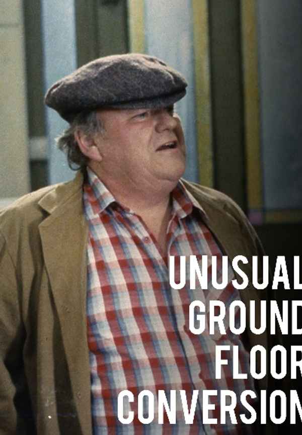 Unusual Ground Floor Conversion Poster 6