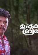 Uppukandam Brothers Poster 4
