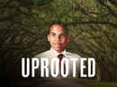 Uprooted Poster 4