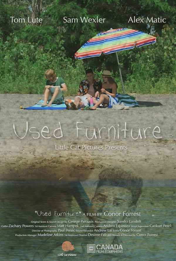 Used Furniture Poster 1