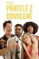 Vacation Friends Poster 4