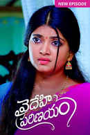 Vaidehi Parinayam Poster 7