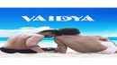 Vaidya Poster 1