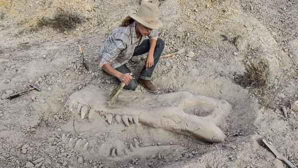 Valley of Bones Poster 5