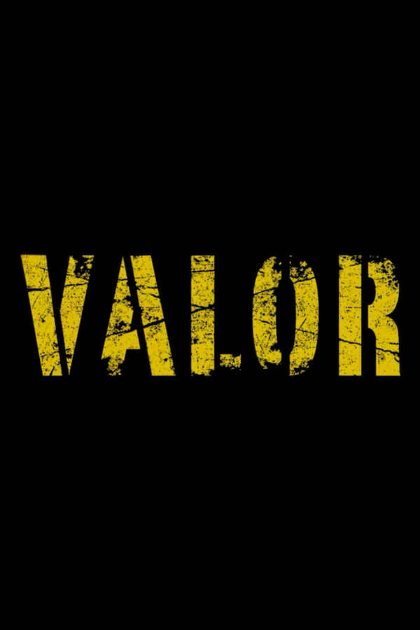 Valor Poster 4