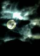 Vampires Drink Blood... I Drink Sorrow Poster 4