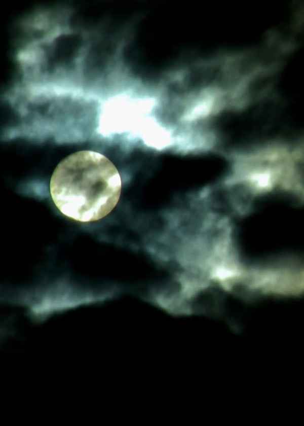 Vampires Drink Blood... I Drink Sorrow Poster 4