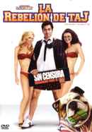 Van Wilder 2: The Rise of Taj Poster 7