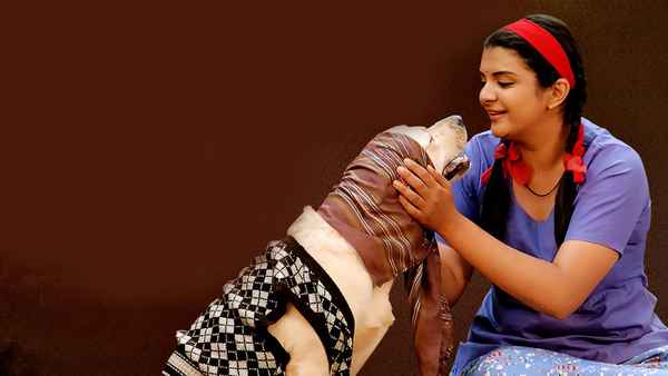 Vanilla, Strawberry & Chocolate Poster 5