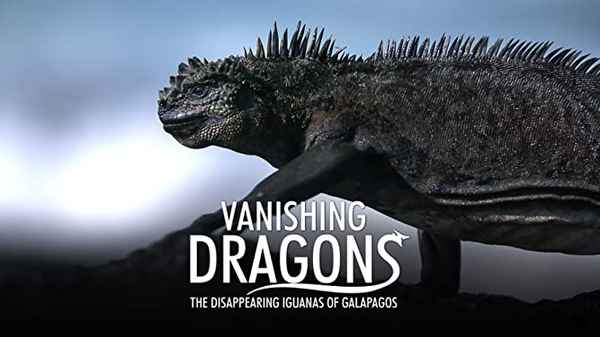 Vanishing Dragons - The Disappearing Iguanas Of Galapagos Poster 1