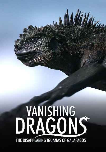 Vanishing Dragons - The Disappearing Iguanas Of Galapagos