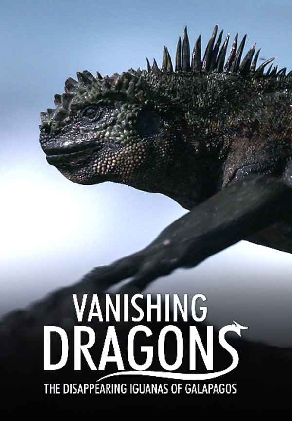 Vanishing Dragons - The Disappearing Iguanas Of Galapagos Poster 3