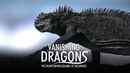 Vanishing Dragons - The Disappearing Iguanas Of Galapagos Poster 2