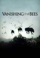 Vanishing of the Bees Poster 2