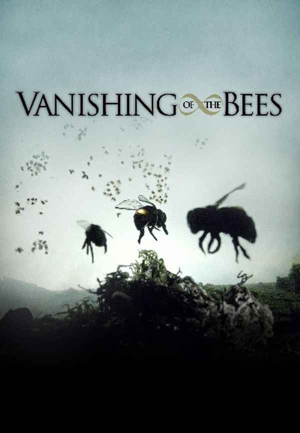 Vanishing of the Bees Poster 2