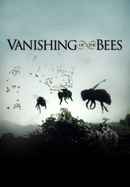 Vanishing of the Bees Poster 1