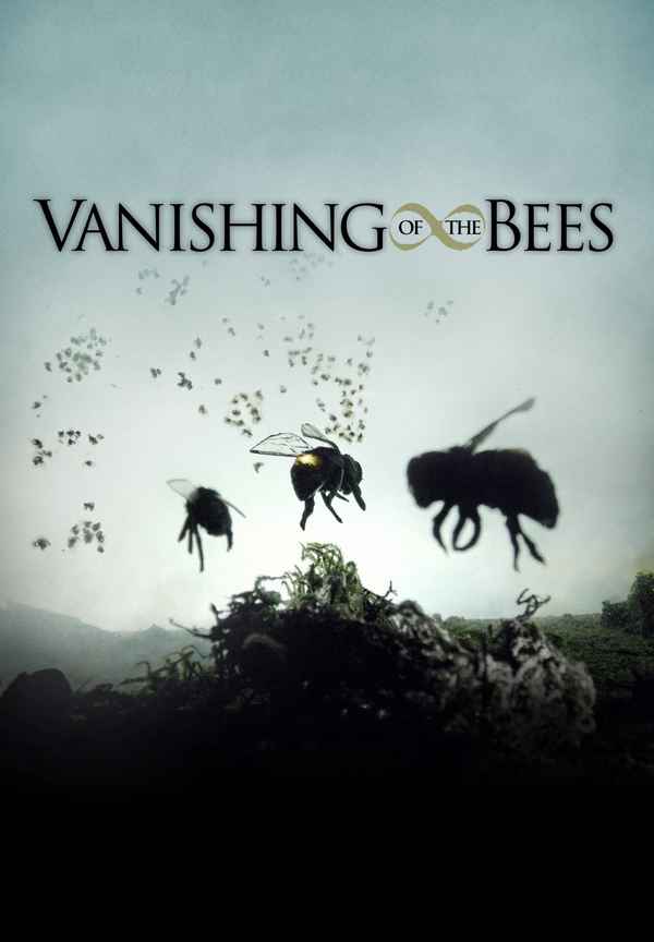 Vanishing of the Bees Poster 1