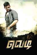 Vedi Poster 1
