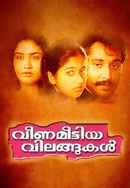 Veena Meettiya Vilangukal Poster 2