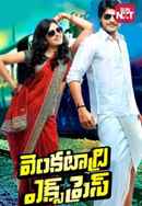 Venkatadri Express Poster 5