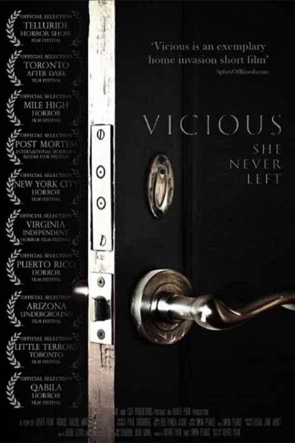 Vicious Poster 4