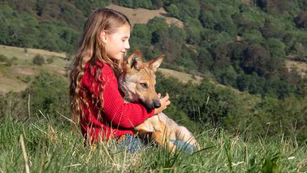 Vicky and Her Mystery Poster 1