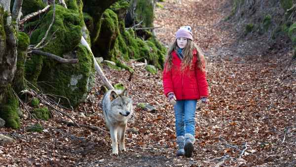 Vicky and Her Mystery Poster 4