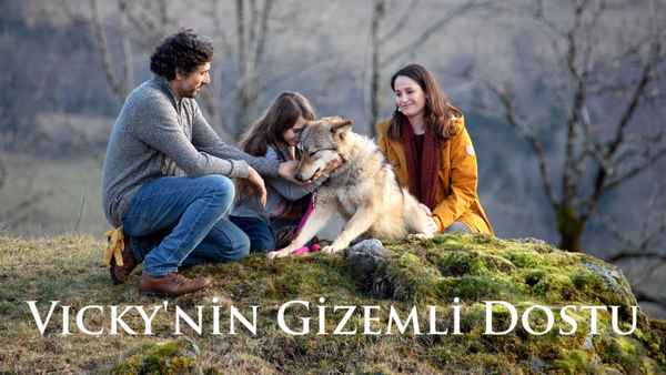 Vicky and Her Mystery Poster 3