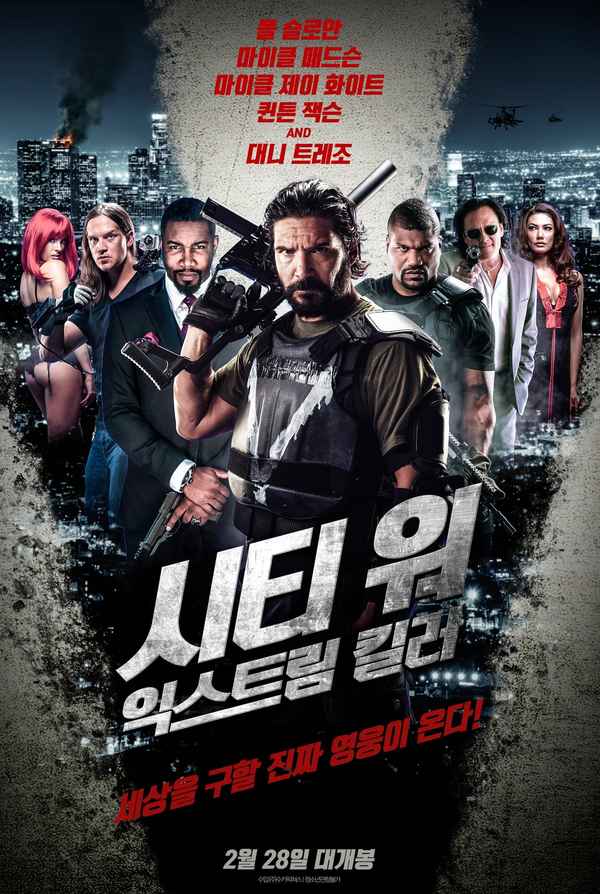 Vigilante Diaries Poster 1